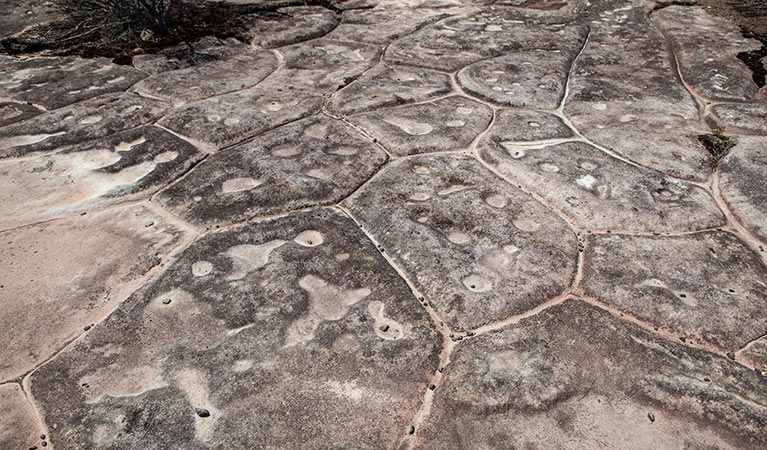 Aboriginal engravings in Ku-ring-gai Chase National Park. Photo: David Finnegan