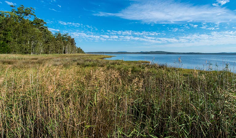 Lake Innes, Lake Innes Nature Reserve. Photo: John Spencer