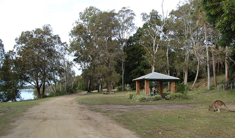 Morriset picnic area, Lake Macquarie State Conservation Area. Photo: Susan Davis