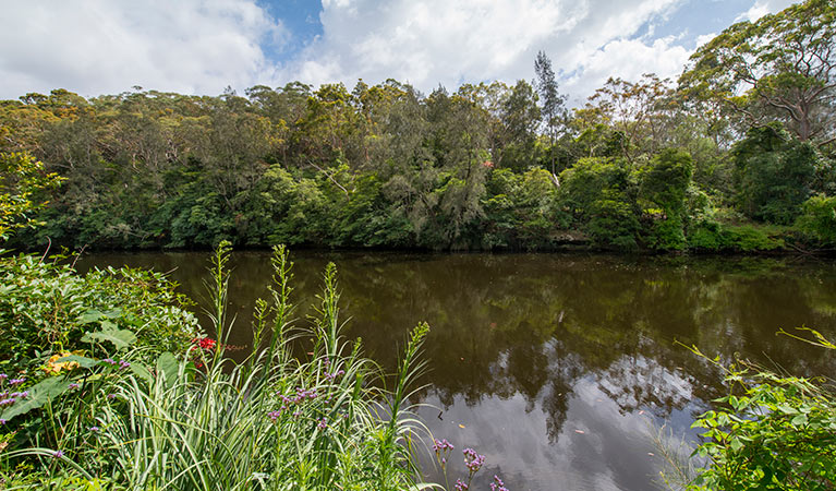 Illoura picnic area, Lane Cove National Park. Photo: John Spencer