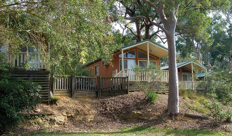 Lane Cove River Tourist Park – cabins, Lane Cove National Park. Photo: Michael Van Ewijk