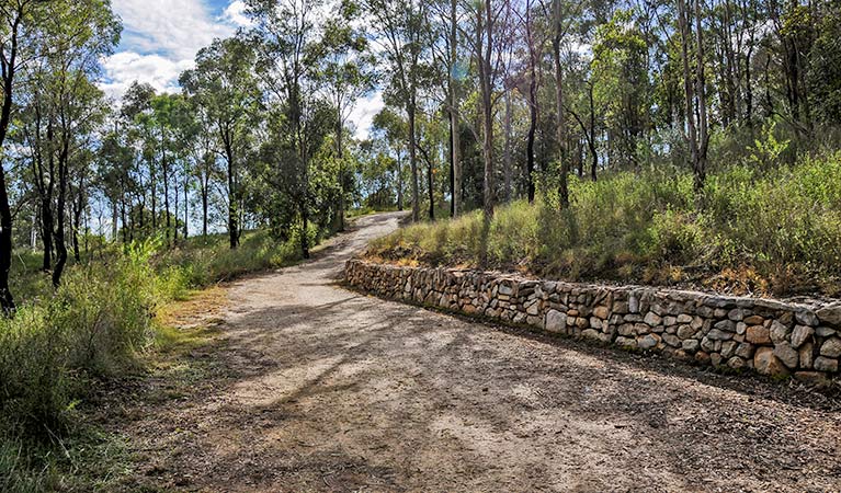 Bellbird walking track, Leacock Regional Park. Photo: W Howe