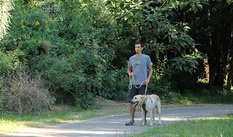 Bellbird walking track, Leacock Regional Park. Photo: John Yurasek