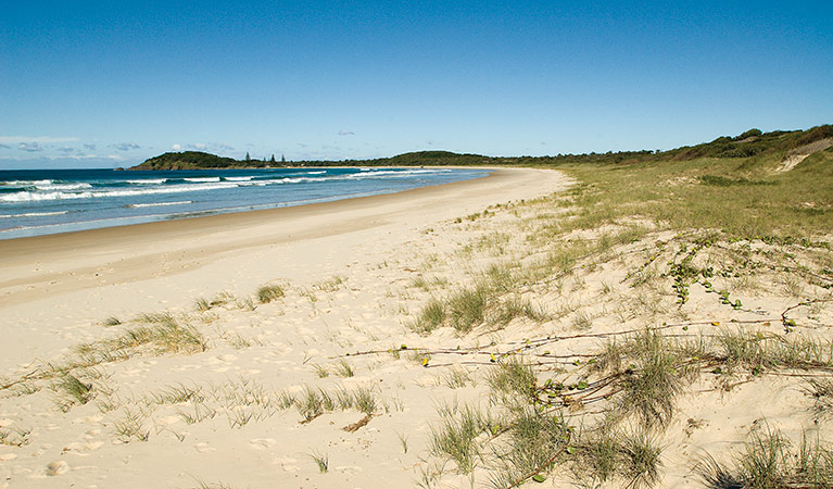 Plomer Beach, Limeburners Creek National Park. Photo: Michael van Ewijk