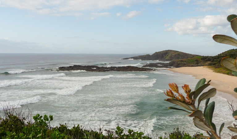 Coastal views from Point Plomer Headland, Limeburners Creek National Park. Photo: Barbara Webster