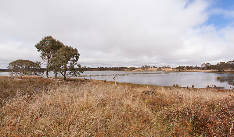 Little Llangothlin Lake, Little Llangothlin Nature Reserve. Photo: Rob Cleary