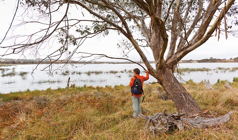 Little Llangothlin Nature Reserve. Photo: Rob Cleary/Seen Australia