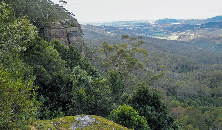 View of Macquarie Pass National Park. Photo:  T Moody