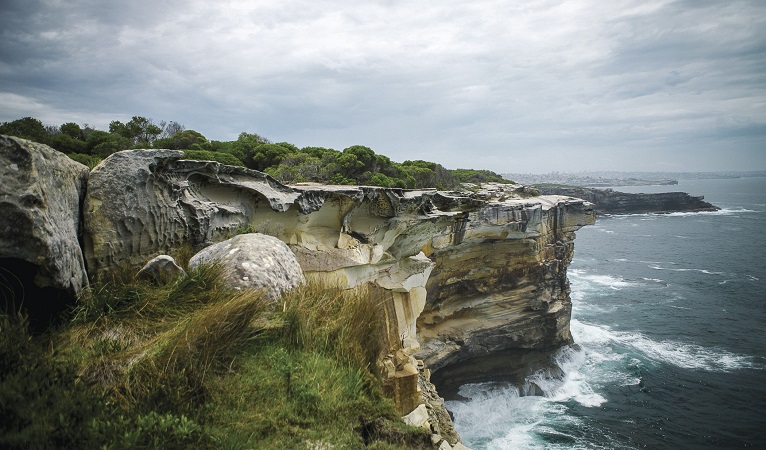 Cliffs and coastline, Malabar Headland National Park. Photo: C Weston/OEH