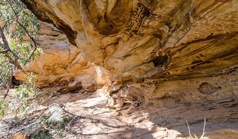 Sandstone cave, Marramarra National Park. Photo: John Spencer