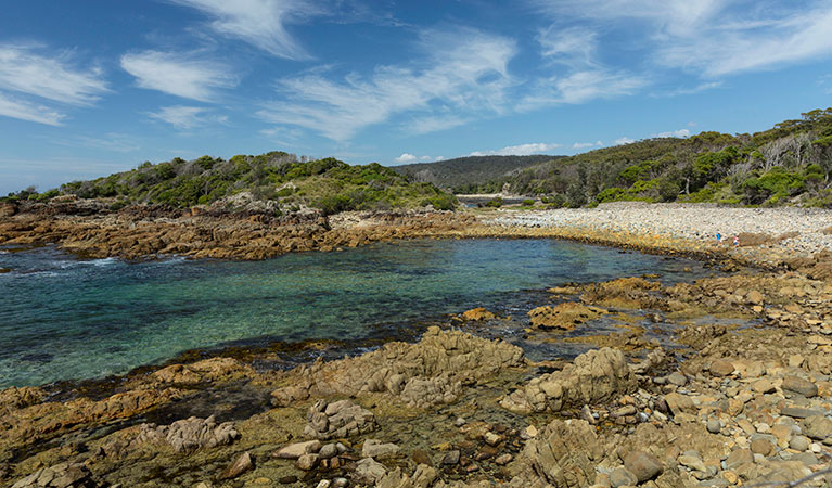 Mimosa Rocks walking track, Mimosa Rocks National Park. Photo: David Finnegan