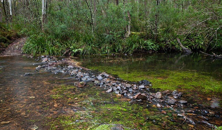 Mongarlowe River, Dasyurus picnic area, Monga National Park. Photo: Lucas Boyd