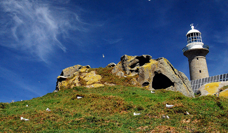 Lighthouse, Montague Island Nature Reserve. Photo: Stuart Cohen