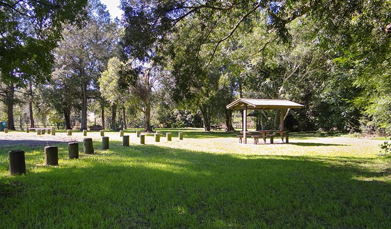 Moore Park picnic area, Moore Park Nature Reserve. Photo: OEH