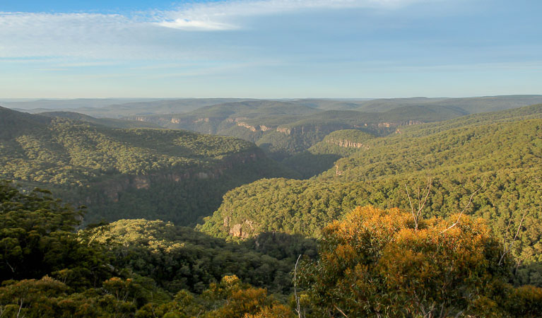 View of Morton National Park. Photo: John Yurasek