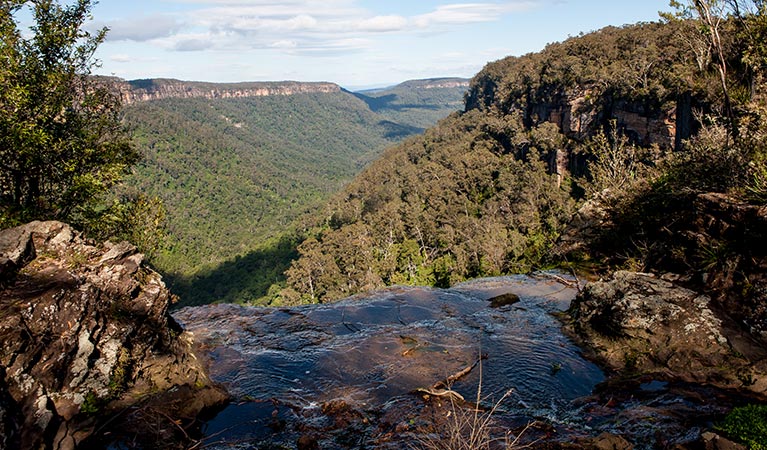 West Rim walking track, Morton National Park. Photo: Michael Van Ewijk