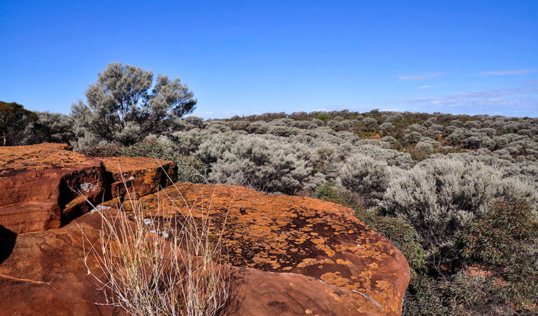 Ngiyambaa walking track, Mount Grenfell Historic Site. Photo: J Hore