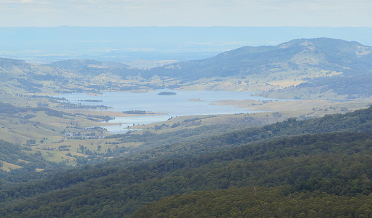 Views across the valley in Mount Royal National Park. Photo: Susan Davis