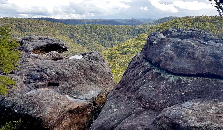 Rock formation at the end of Point Loop walk in Muogamarra Nature Reserve. Photo: Amanda Cutlack/OEH