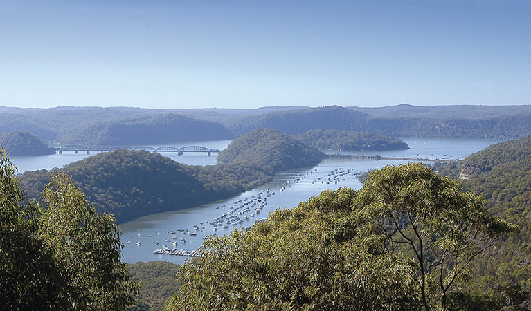 Lookout at Muogamarra Nature Reserve. Photo: Michael Van Ewijk