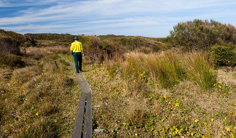 Murramarang Aboriginal Area walking track, Murramarang Aboriginal Area. Photo: Lucas Boyd