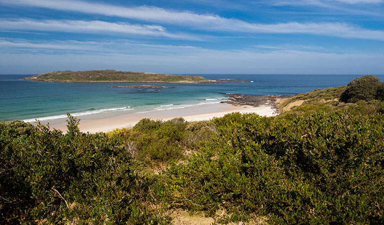 Coastal views, Murramarang Aboriginal Area. Photo: Lucas Boyd