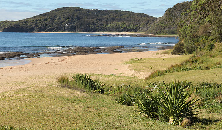 Pebbly Beach, Murramarang National Park. Photo: John Yurasek