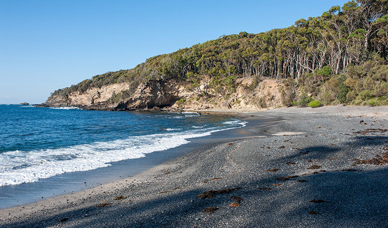 Dark Beach walking track, Murramarang National Park. Photo:Michael Van Ewijk