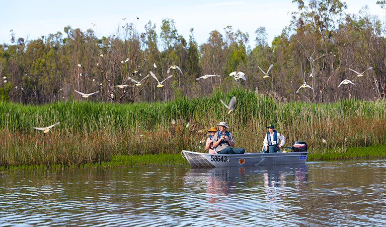 Bird watching on the river, Murray Valley National Park. Photo: David Finnegan