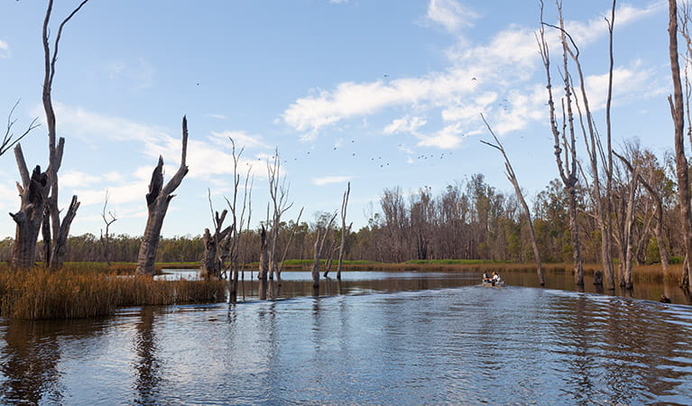 View of the river, Murray Valley National Park. Photo: David Finnegan