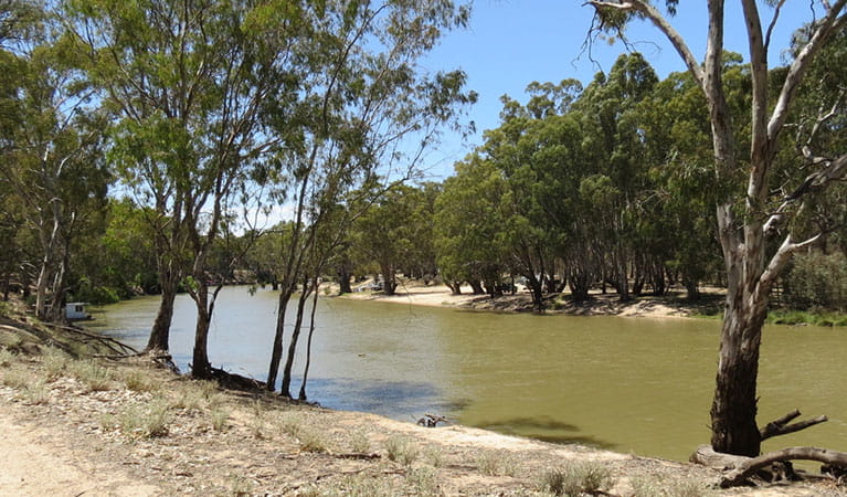 A river bank in the Denilliquin area of Murray Valley Regional Park. Photo: Amanda Hipwell/DPIE