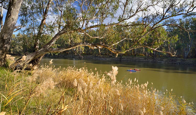 Kayaking on the river, Murrumbidgee Valley National Park. Photo: Gavin Hansford