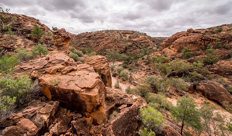 Mutawintji National Park. Photo: John Spencer