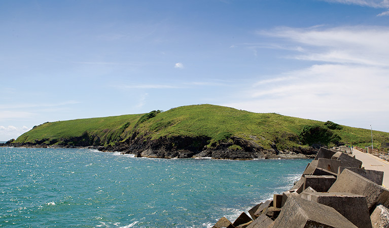 Muttonbird Island Nature Reserve. Photo: Rob Cleary/Seen Australia