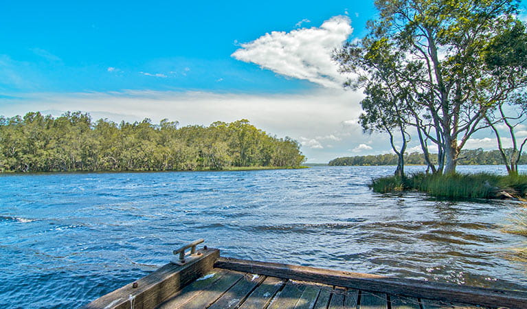 Violet Hill campground, Myall Lakes National Park. Photo: John Spencer