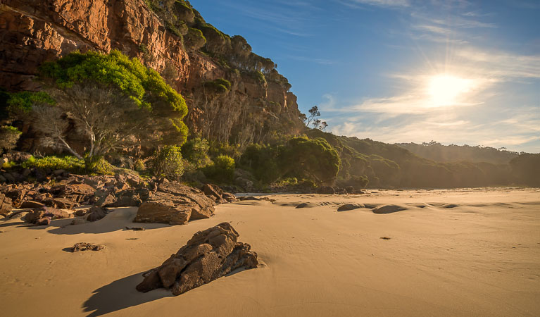 Nadgee wilderness walk, Nadgee Nature Reserve. Photo: John Spencer