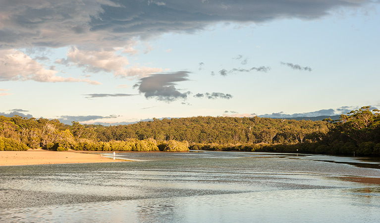 Narrawallee Inlet walk, Narrawallee Nature Reserve. Photo: Michael van Ewijk