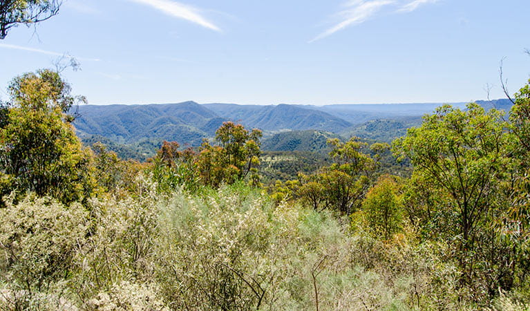 Views from Wollondilly lookout, Nattai National Park. Photo: John Spencer