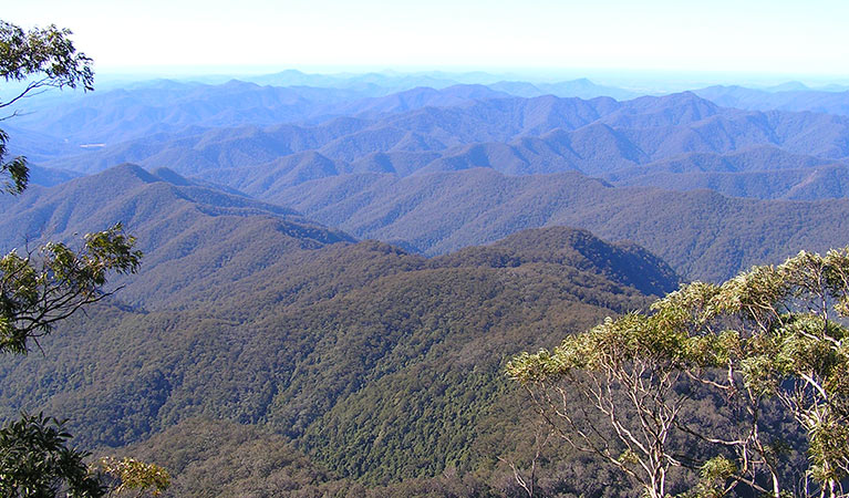 Point lookout, New England National Park. Photo: S Leathers