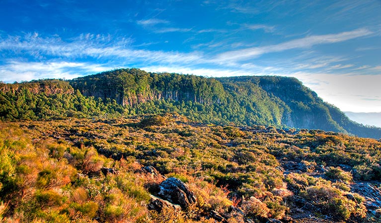 Wrights lookout, New England National Park. Photo: S Ruming