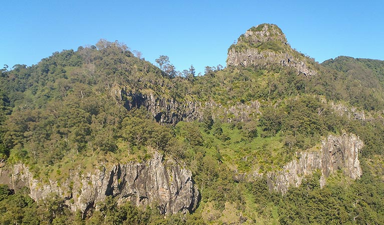 Goorgana walking track, Nightcap National Park