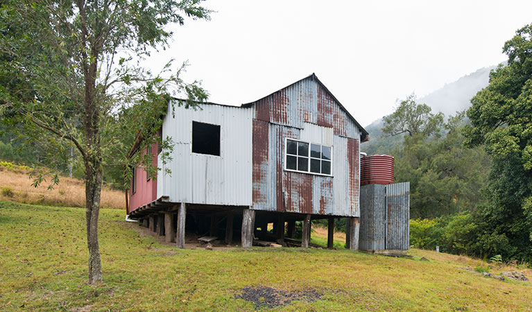 Jacky Barkers campground, Nowendoc National Park. Photo: John Spencer