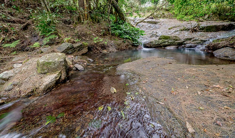 Myall Creek, Nowendoc National Park. Photo: John Spencer