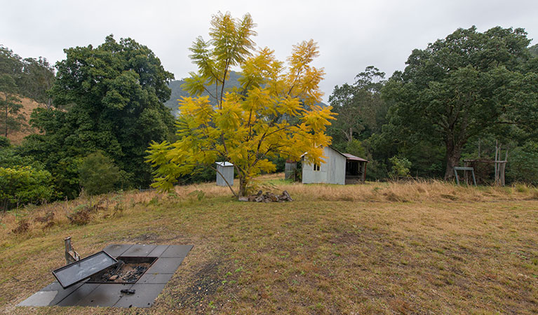 Jacky Barkers campground, Nowendoc National Park. Photo: John Spencer