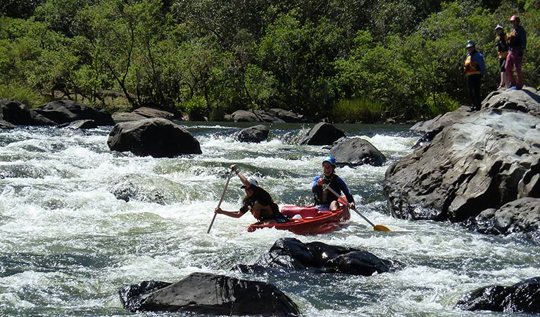 Canoeing the Mann River, Nymboida National Park. Photo: D Parkin