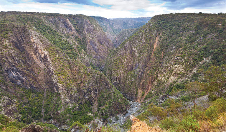 Wollomombi walk, Oxley Wild Rivers National Park. Photo: Rob Cleary