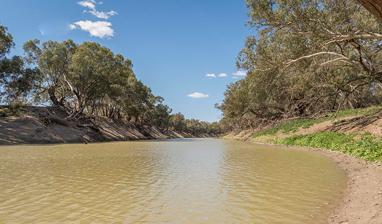 Coach and Horses campround, Paroo Darling National Park. Photo: John Spencer