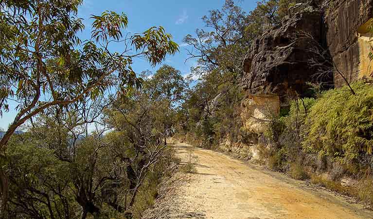 Womerah Range trail, Parr State Conservation Area. Photo: OEH