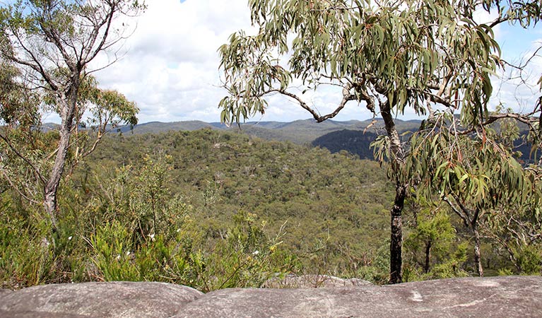 A view through the trees and over the mountains, Popran National Park. Photo: John Yurasek