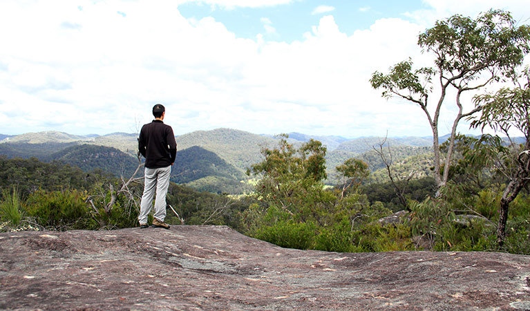 A person enjoying the view from a lookout, Popran National Park. Photo: John Yurasek